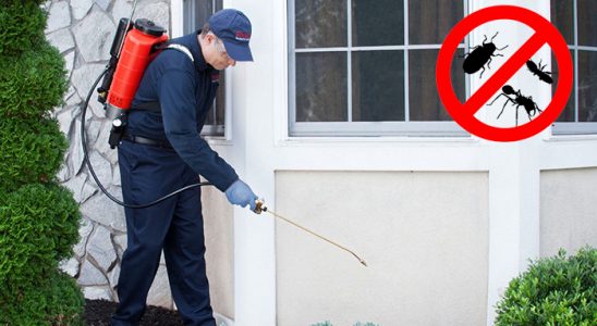 Gemerek Dezenfeksiyon böcek ilaçlama ve haşere kontrolü — ilaclama-tr.com